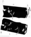 Fig. 15 - Wall hanging mounting device