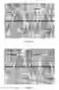 Fig. 03 - HORN MASS SPECTROMETER USING DIGITAL DEFLECTION DRIVE