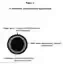 Fig. 02 - Coated calcium hypochlorite composition