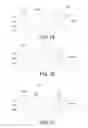 Fig. 02 - LIGHT EMITTING DEVICE AND MANUFACTURE METHOD THEREOF