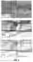 Fig. 07 - Growth of reduced dislocation density non-polar gallium nitride