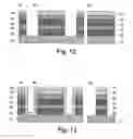 Fig. 08 - Semiconductor substrate, semiconductor device and process for producing semiconductor substrate