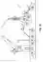 Fig. 04 - Third axle assembly for log hauling trailers