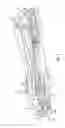 Fig. 02 - Ski binding for cross country or telemark ski
