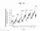 Fig. 08 - Organic EL display