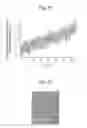 Fig. 10 - Organic EL display