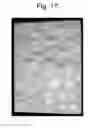 Fig. 12 - Organic EL display