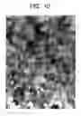 Fig. 07 - Triclinic-structure composite oxide containing zinc and tungsten and phosphor