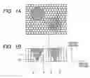 Fig. 02 - Tapered light emitting structure and light emitting device having a columnar light extraction layer