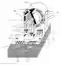 Fig. 01 - Manually operated brushless direct current motor