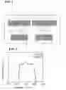 Fig. 02 - Balanced acoustic wave filter device