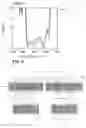 Fig. 05 - Balanced acoustic wave filter device