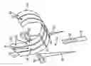 Fig. 01 - Electromechanical switch