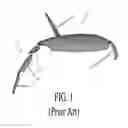 Fig. 02 - EGPWS flap position enhancement