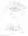 Fig. 05 - Planar antenna structure