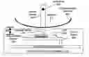 Fig. 01 - Method and apparatus for sensing motion of a user interface mechanism using optical navigation technology