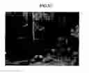 Fig. 06 - Liquid crystal display having improved image and modifying method of image signal thereof