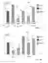 Fig. 08 - Persistent formatting for interactive charts