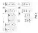 Fig. 08 - Videophone over cable networks