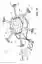 Fig. 10 - Stereoscopic wide field of view imaging system