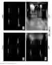 Fig. 23 - Synthesizing three-dimensional surround visual field
