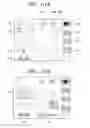 Fig. 52 - MULTIFUNCTIONAL VIDEO APPARATUS AND METHOD OF PROVIDING USER INTERFACE THEREOF