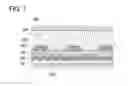 Fig. 08 - Liquid crystal display device