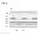 Fig. 09 - Liquid crystal display device