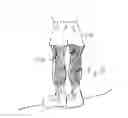 Fig. 16 - Tan thru glasses