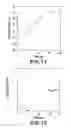 Fig. 08 - EXPOSURE APPARATUS AND DEVICE MANUFACTURING METHOD