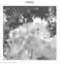 Fig. 09 - Apparatus and method for processing image including white balance correction
