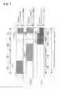 Fig. 05 - Light emission method, light emitting apparatus and projection display apparatus