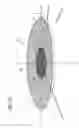 Fig. 11 - Vehicle lamp