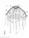 Fig. 23 - Vehicle lamp