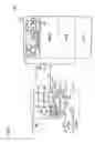 Fig. 31 - Memory device capable of stable data writing