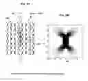 Fig. 07 - Apparatus and method for hydraulic fracture imaging by joint inversion of deformation and seismicity