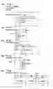 Fig. 19 - Optical recording medium having BCA of write-once information