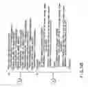 Fig. 30 - INFORMATION PLAYBACK SYSTEM USING INFORMATION STORAGE MEDIUM