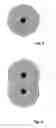 Fig. 05 - Device and method for setting up ad hoc networks