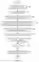 Fig. 11 - Professional Services Communications Architecture