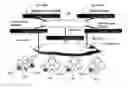 Fig. 01 - Server and mobility management for scalable multimedia quality of service (QoS) communication