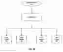 Fig. 31 - Self coordinated machine network