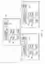 Fig. 04 - Interdomain bi-directional protocol independent multicast