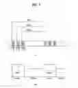 Fig. 05 - DTV receiver and method of processing signal in DTV receiver