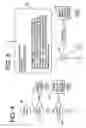 Fig. 04 - TTY enhancement of busy condition prompt