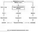 Fig. 11 - System and method for tracking customer satisfaction index based on intentional context