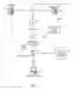 Fig. 02 - Flexible ring-tone service