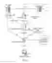 Fig. 03 - Flexible ring-tone service