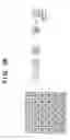 Fig. 29 - Image processing apparatus and method