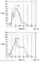 Fig. 10 - System and method for range measurement of a preceding vehicle